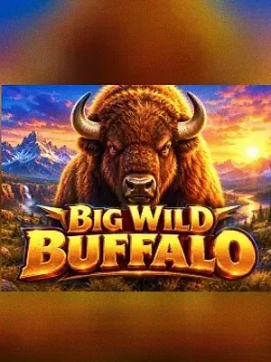 Big Wild Buffalo at Shambala